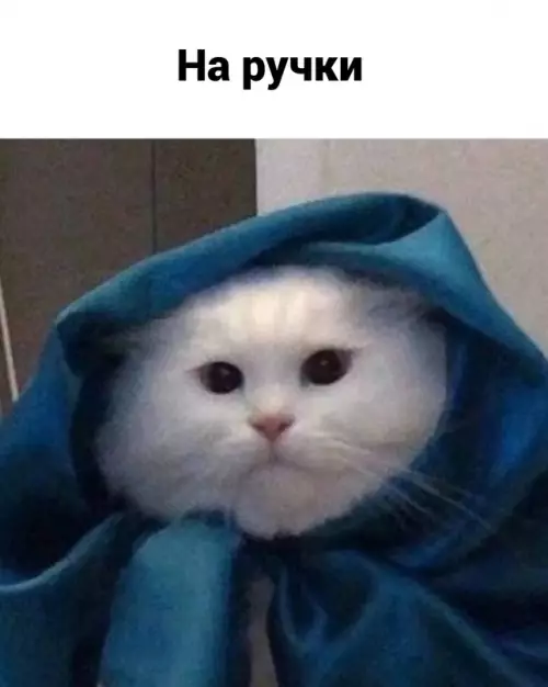 продолжение Смешная картинка №656043