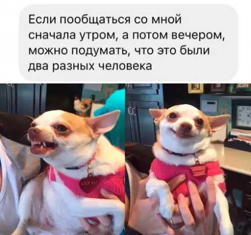 Смешная картинка №702308
