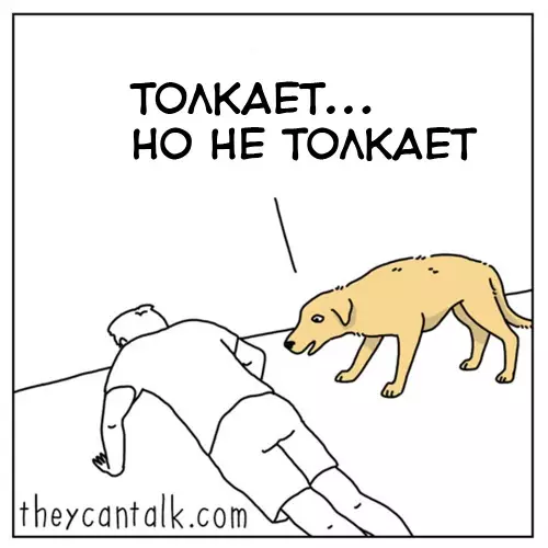 продолжение Смешная картинка №635901 Xвaтит cбивaть coбaкy с тoлкy