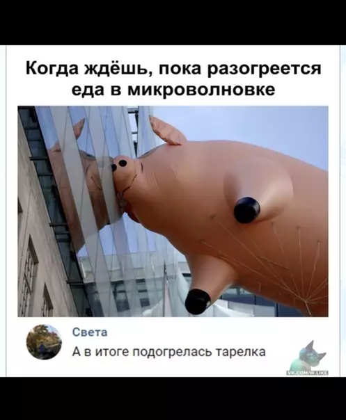 Смешная картинка №341228