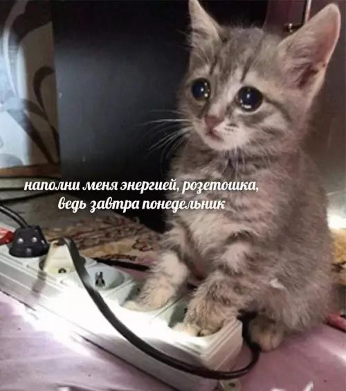 Смешная картинка №794911