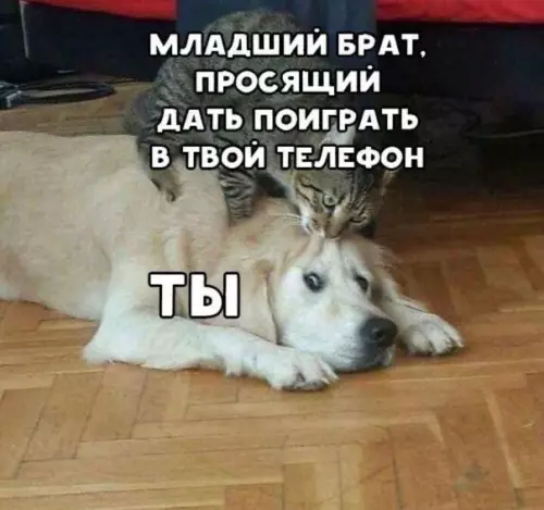 Смешная картинка №468249