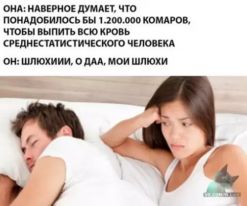 Смешная картинка №311833