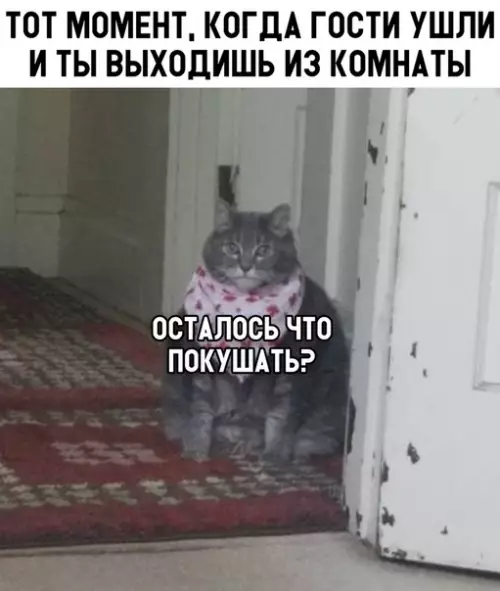 Смешная картинка №312290