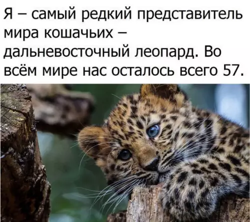 Смешная картинка №189673