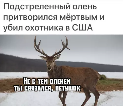 Смешная картинка №392419