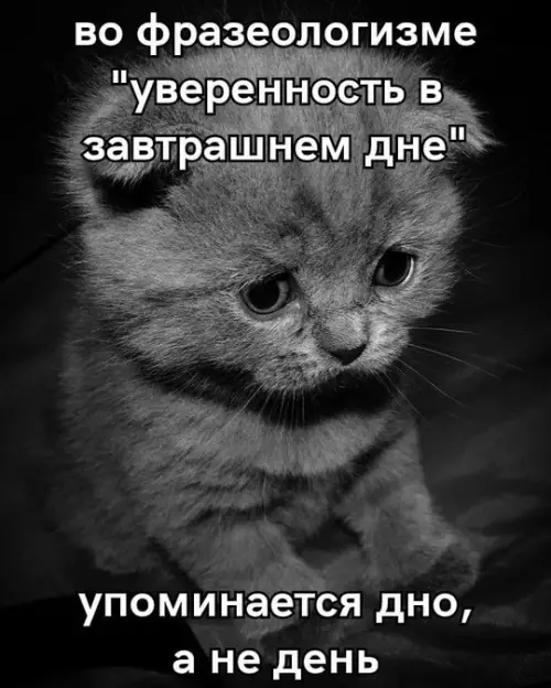 Смешная картинка №754428