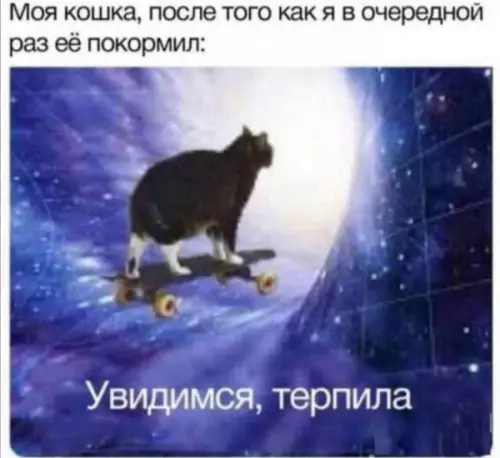 Смешная картинка №656619