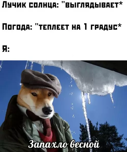 Смешная картинка №631039