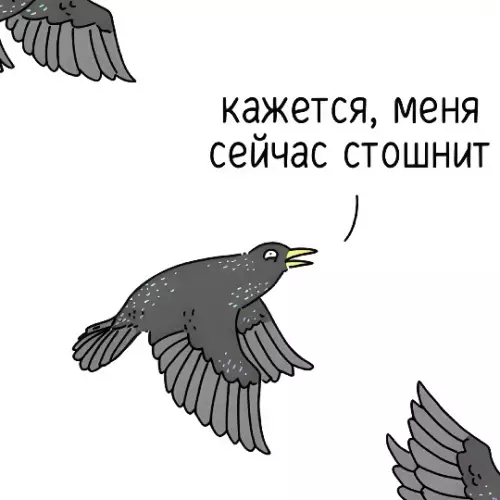 продолжение Вечерний депрессняк и птицы 🐦☁️ - когда начинает смеркаться, небо заполняют стаи скворцов