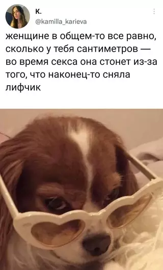 Смешная картинка №652669