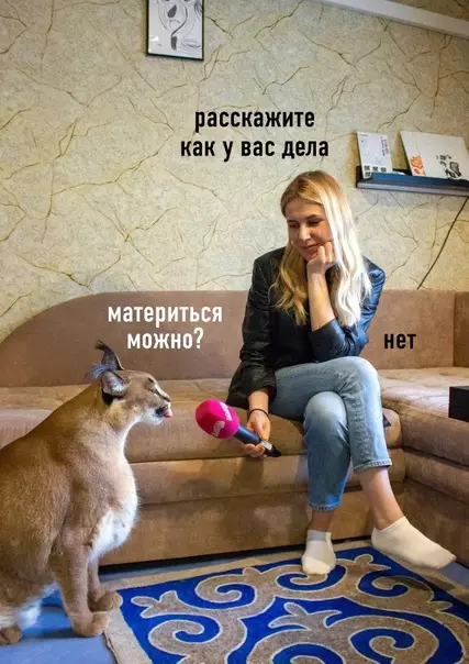 Смешная картинка №583437 Текущее состояние: большой Шлёпа