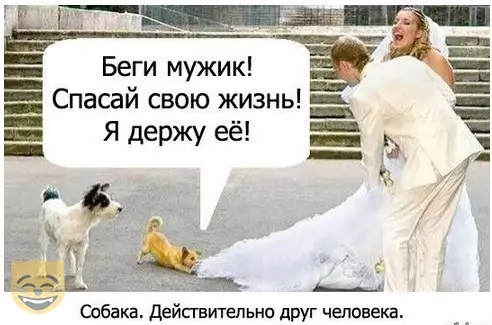 Смешная картинка №335305 #приколы #картинки #мемы ?