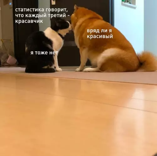 Смешная картинка №499577 Ты красавчик