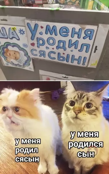 Смешная картинка №480037 и разделились люди на два лагеря