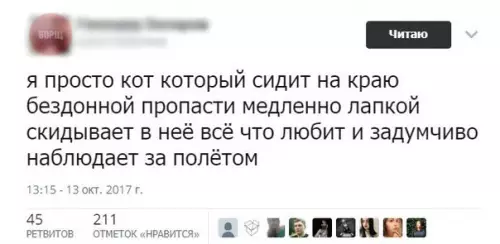 Смешная картинка №214228 коты