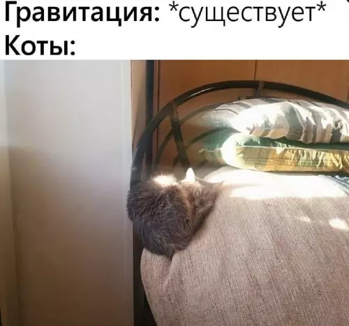 Смешная картинка №688183