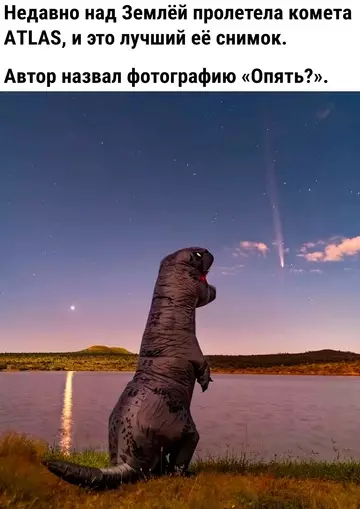 Смешная картинка №733954 Опять