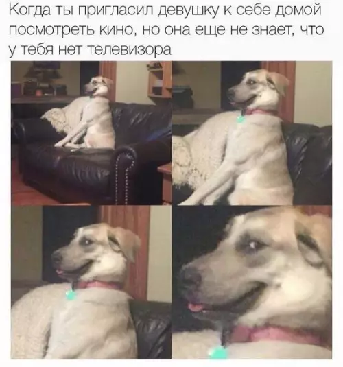 Смешная картинка №387565