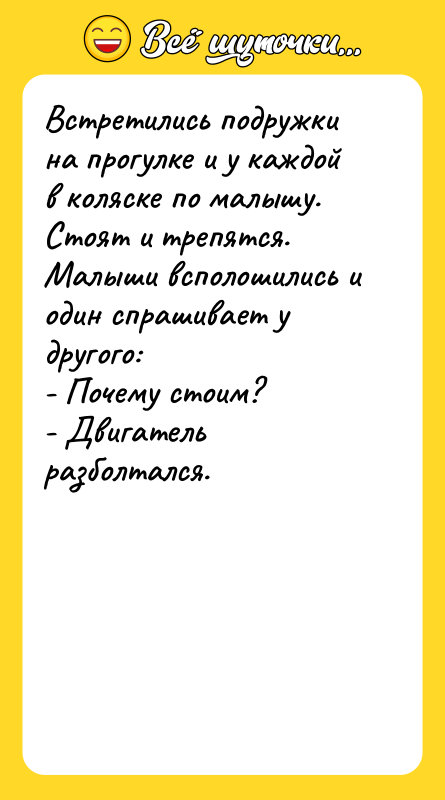 Встретились подружки на прогулке и у каждой в коляске по