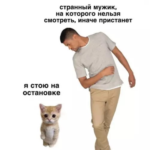 Смешная картинка №761469