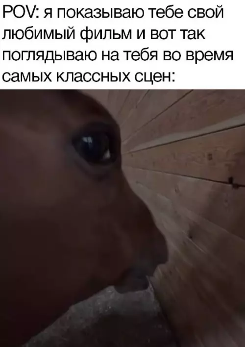 Смешная картинка №740088