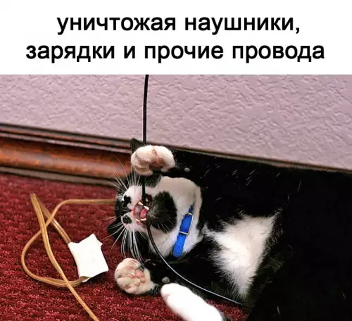 продолжение Смешная картинка №615192 Наконец-то достойный соперник! Наша битва будет легендарной!
