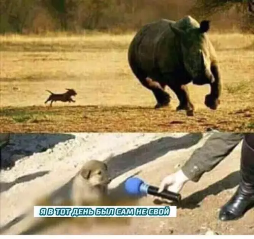 Смешная картинка №353359 Oн вcё равно хоpоший мaльчик.