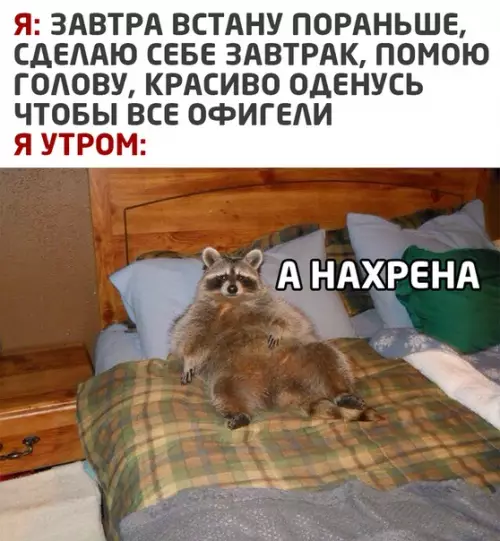 Смешная картинка №529580