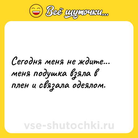 Шутка: Сегодня меня не ждите... меня подушка взяла в плен и связала одеялом.
