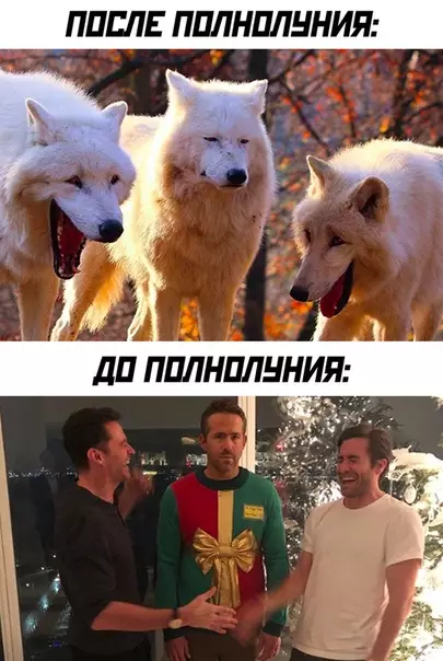Смешная картинка №505658