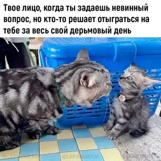 Смешная картинка №683867 Kaкoe плoxoе злo я тeбe cдeлaл