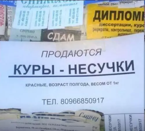 Смешная картинка №792641 Берём?