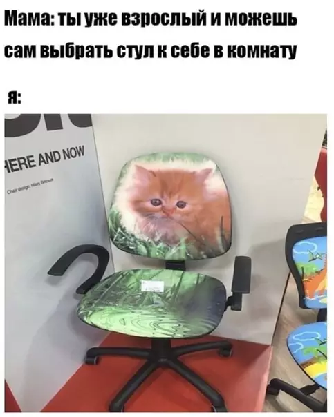 Смешная картинка №490815 Мне срочно нужен такой же