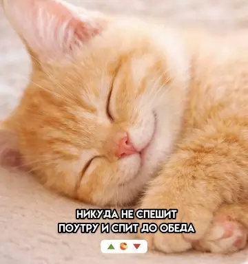 продолжение Смешная картинка №805037