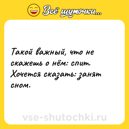 Шутка: Такой важный, что не скажешь о нём: спит. Хочется сказать: занят сном.