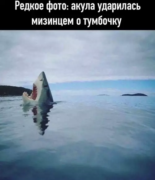 Смешная картинка №576190