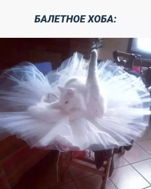 Смешная картинка №667133