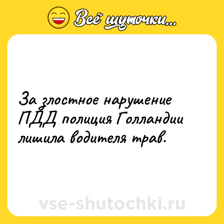Шутка: За злостное нарушение ПДД полиция Голландии лишила водителя трав.