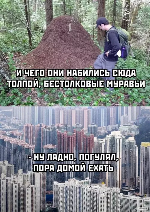 Смешная картинка №639797