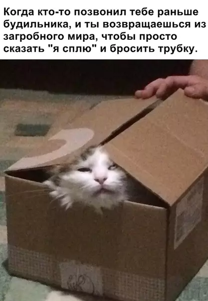 Смешная картинка №335928