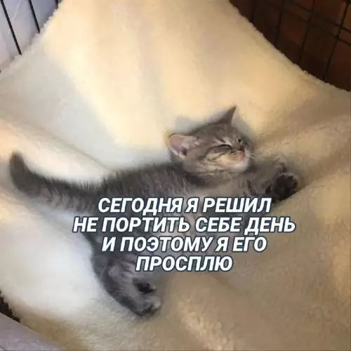 Смешная картинка №666235
