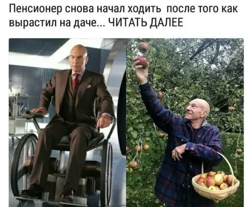 Смешная картинка №217114 Без регистрации и смс