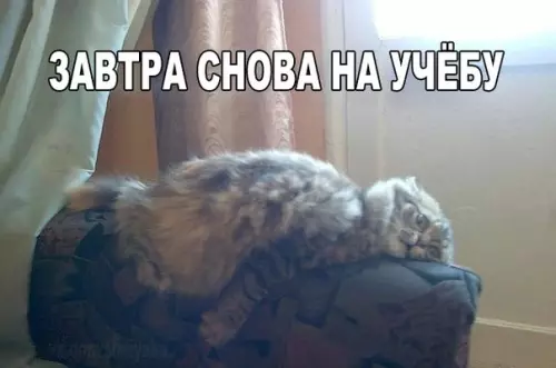 Смешная картинка №205745