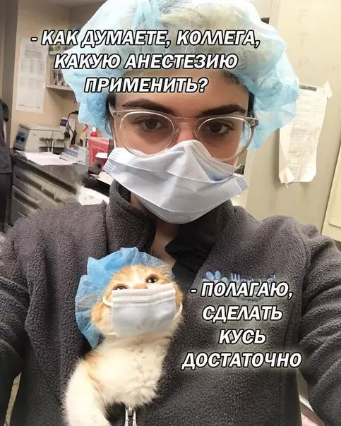 Смешная картинка №256950