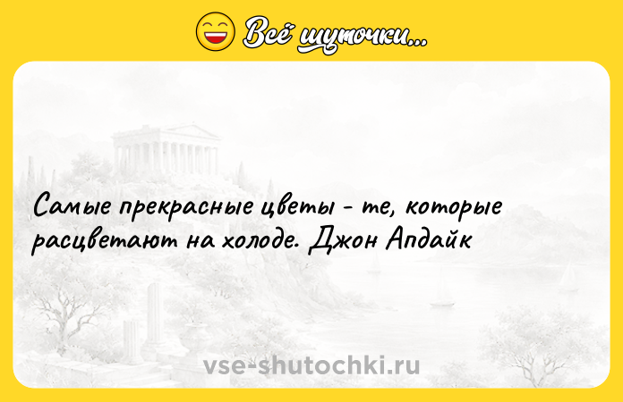 Цитата: Самые прекрасные цветы - те, которые расцветают на холоде. Джон Апдайк