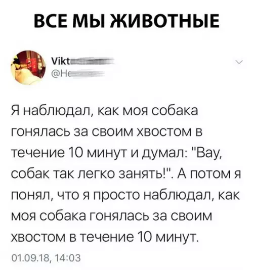 Смешная картинка №299748