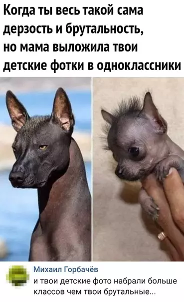 Смешная картинка №474562 ее