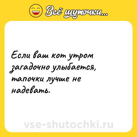 Шутка: Если ваш кот утром загадочно улыбается, тапочки лучше не надевать.