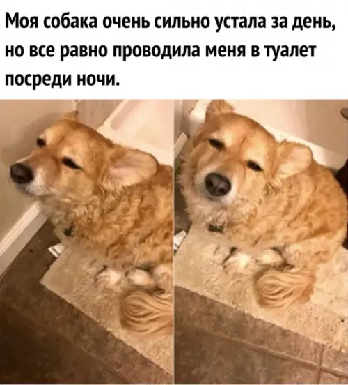 Смешная картинка №281186